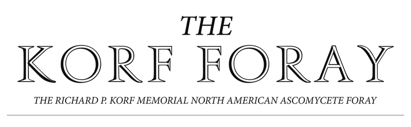 The Richard P. Korf Memorial North American Ascomycete Foray