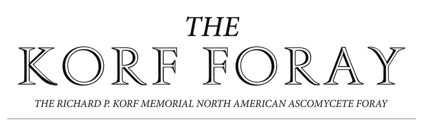 The Korf Foray: The Richard P. Korf Memorial North American Ascomycete Foray